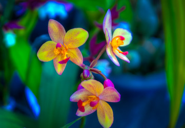 Similar image 5937117