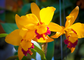 Similar image 5937120