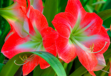 Similar image 5937121