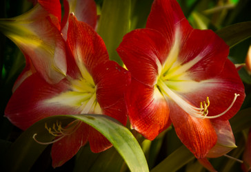 Similar image 5937122