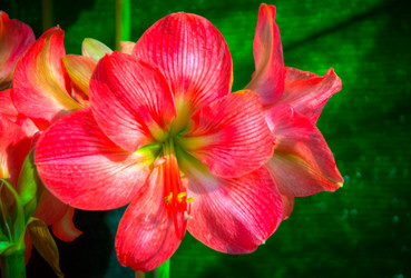 Similar image 5937123