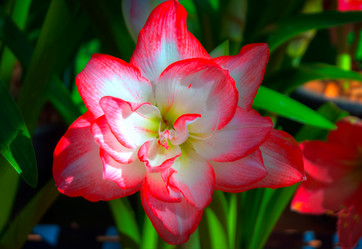 Similar image 5937125