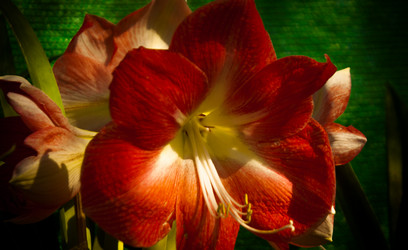 Similar image 5937126