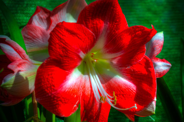 Similar image 5937127