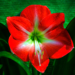 Similar image 5937128