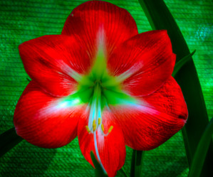 Similar image 5937130