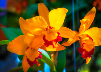 Similar image 5937131