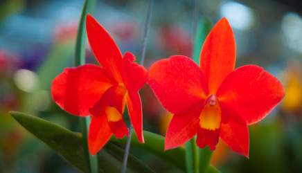 Similar image 5937132