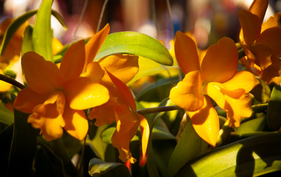 Similar image 5937134