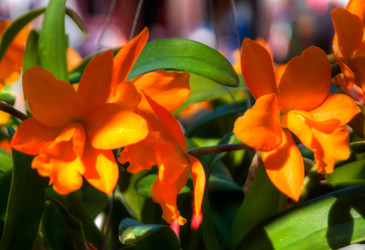 Similar image 5937135