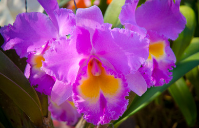 Similar image 5937136