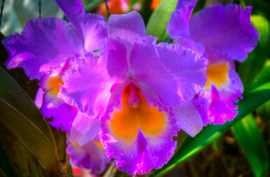 Similar image 5937137