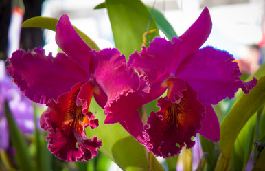 Similar image 5937138