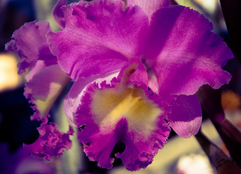 Similar image 5937141