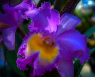 Similar image 5937142