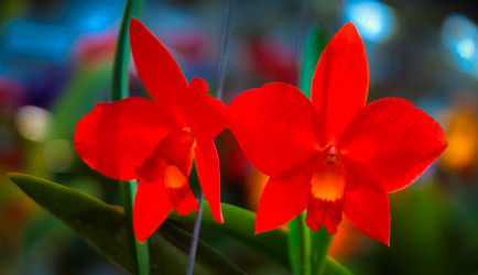 Similar image 5937143