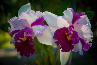 Similar image 5937146