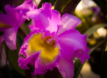 Similar image 5937150