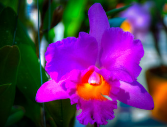 Similar image 5937151