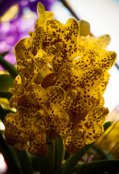 Similar image 5937152