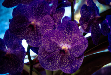 Similar image 5937153