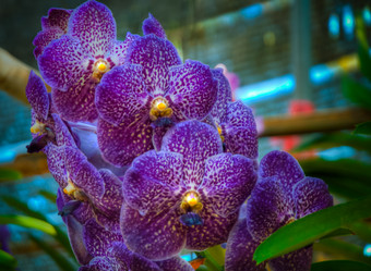 Similar image 5937156