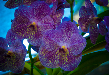 Similar image 5937161