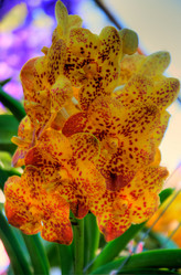 Similar image 5937163