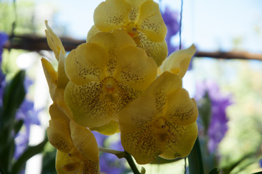 Similar image 5937164