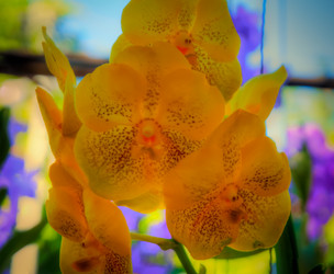 Similar image 5937165