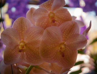 Similar image 5937166