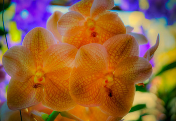 Similar image 5937167