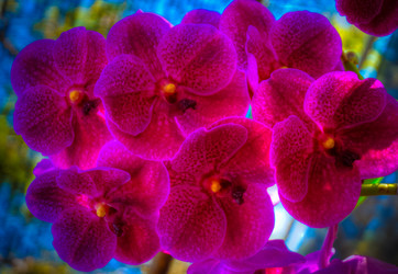 Similar image 5937171