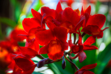 Similar image 5937174