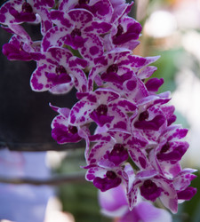 Similar image 5937177