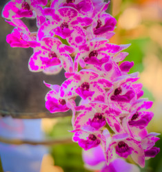 Similar image 5937178