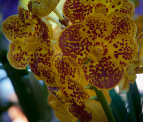 Similar image 5937180