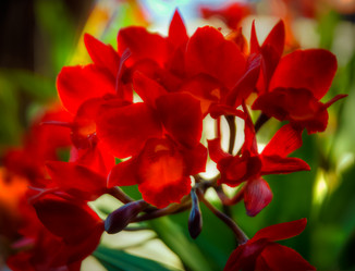 Similar image 5937181