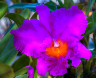 Similar image 5937183