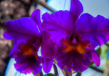 Similar image 5937187