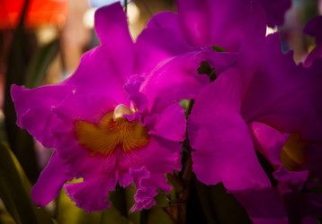 Similar image 5937188