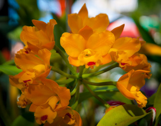 Similar image 5937189