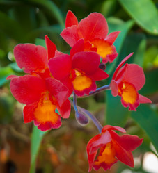 Similar image 5937190