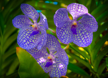 Similar image 5937232