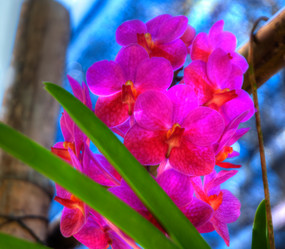 Similar image 5937254