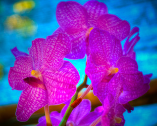 Similar image 5937264