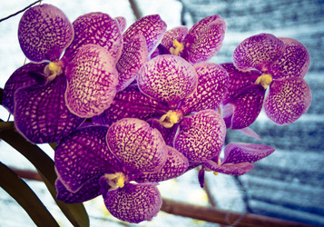 Similar image 5937265