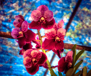 Similar image 5937269