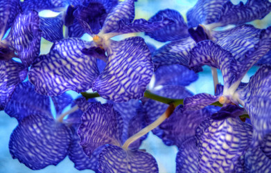 Similar image 5937276