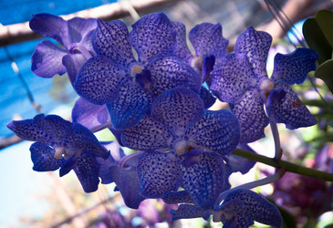 Similar image 5937283